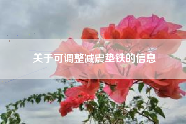 關于可調整減震墊鐵的信息